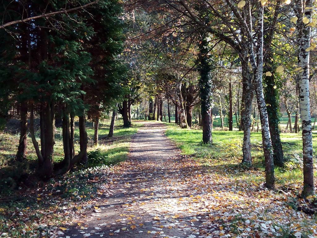 Iberik Gran Balneario De Guitiriz 호텔 외부 사진